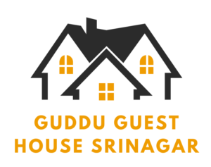 guddu guest house 1